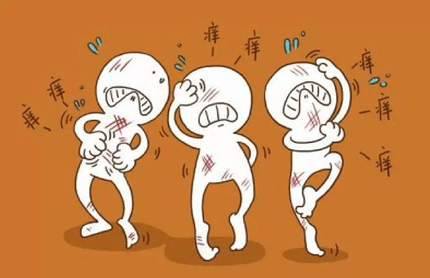 康美尔乐