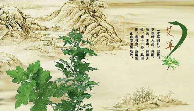 《本草纲目》艾叶可入要